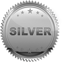 Silver Sponsor